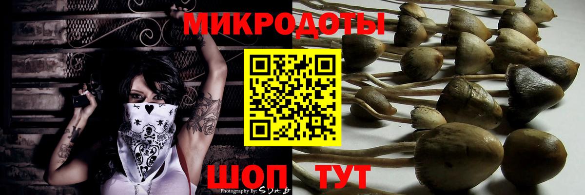Псилоцибиновые грибы ЛСД Кингисепп